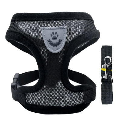 petit harnais avec laisse pour chiot de couleur noir assortie fait en nylon. Image produit Boutiquechien