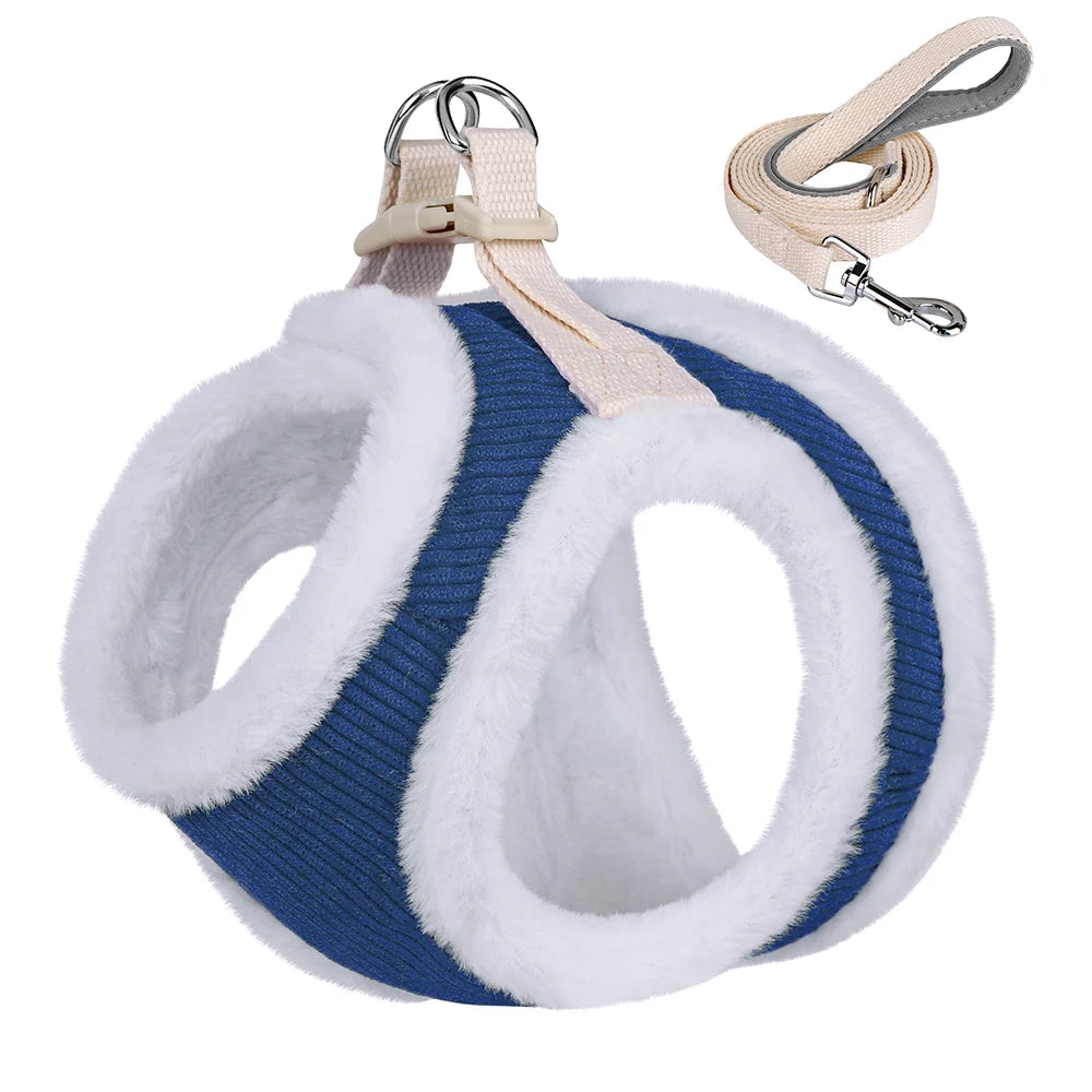 harnais doux et chaud pour petit chien bleu  avec laisse résistante 