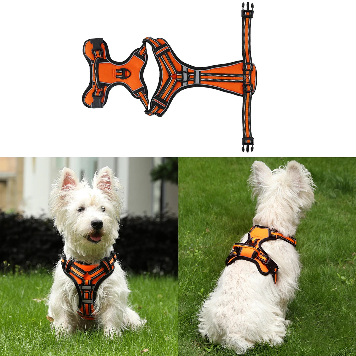 harnais en Y orange pour chien anti-traction 