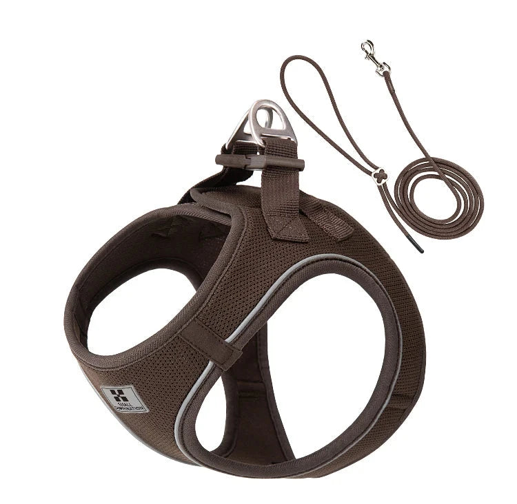 harnais et laisse brun pour chiot de boutiquechien