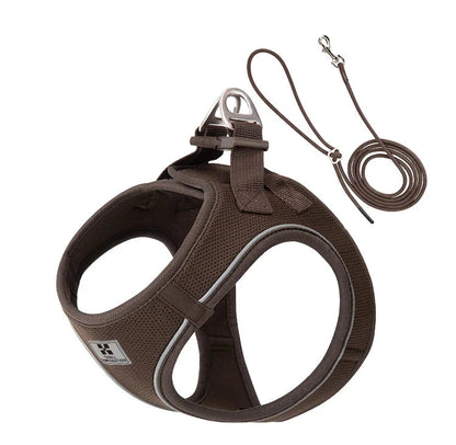 harnais et laisse brun pour chiot de boutiquechien