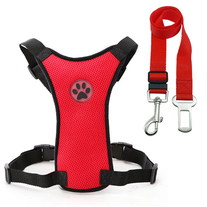 harnais et laisse rouge pour chien de sécurité en voiture. Les produits sont en nylon 