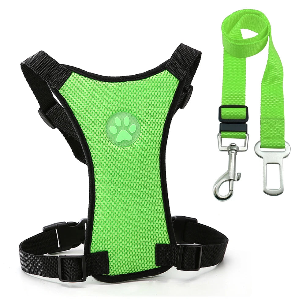 harnais et laisse vert pour chien de sécurité en voiture. Les produits sont en nylon 