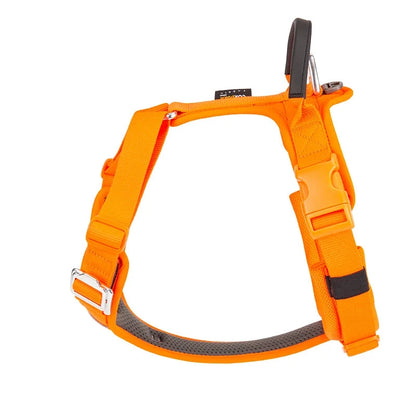 Harnais pour gros chien de couleur orange  et noir de boutiquechien