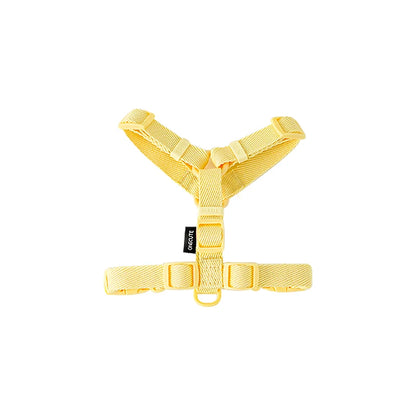 harnais pour petit chien de couleur jaune. image produit Boutiquechien