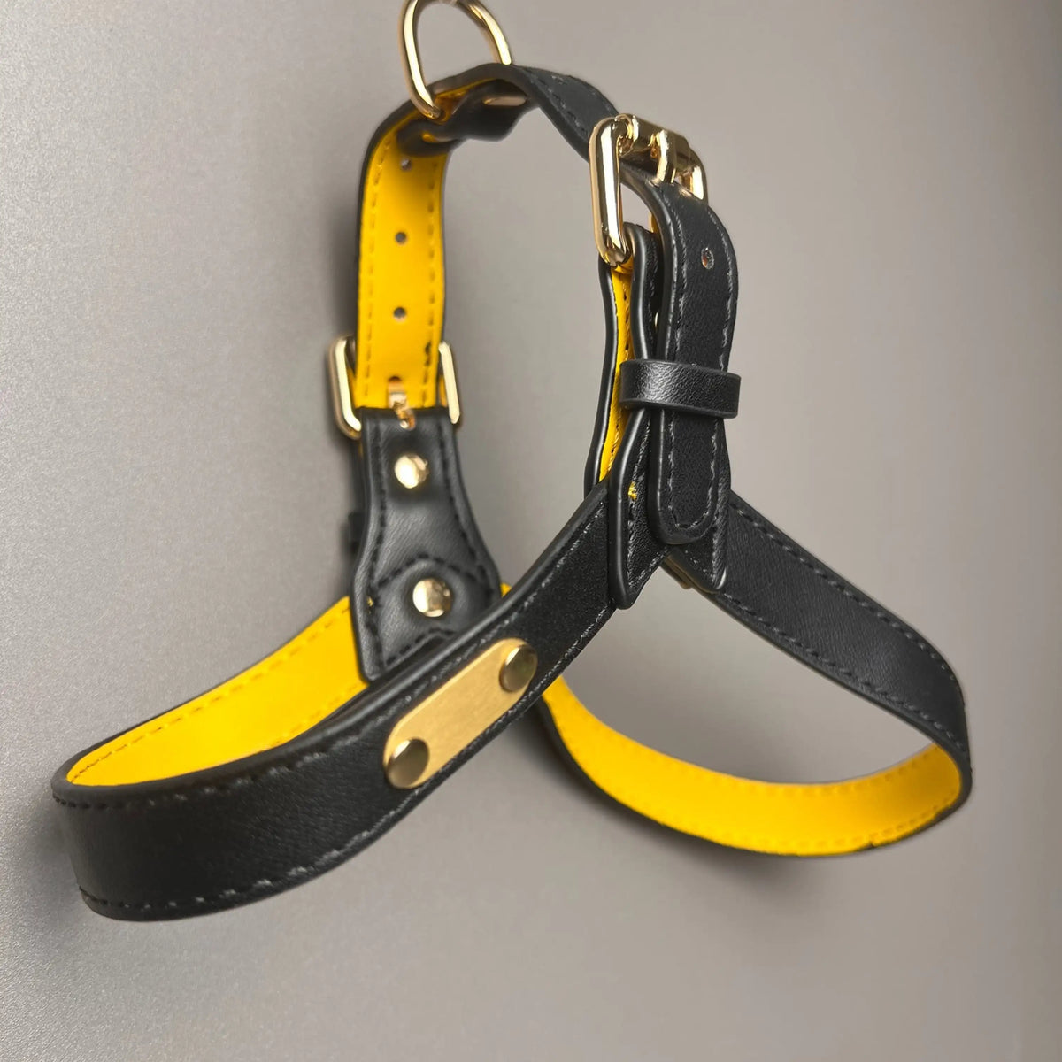 Harnais pour les chiens de couleur noir et jaune de boutiquechien