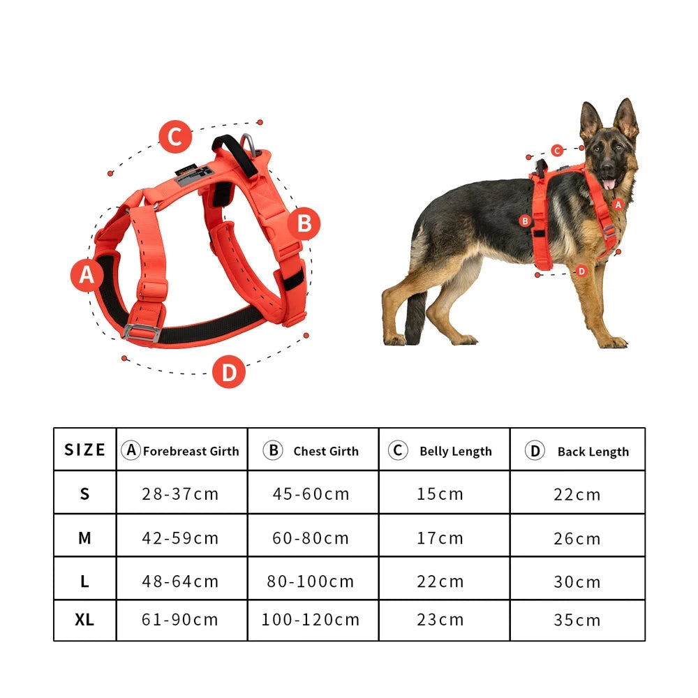 Harnais pour gros chien de couleur rouge tableau complet. Image produit Boutiqeuchien