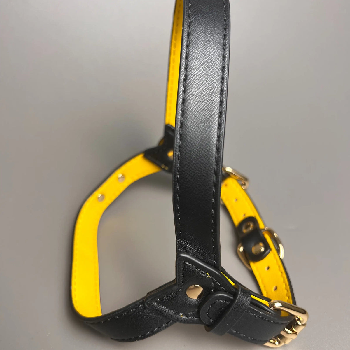 Harnais pour les chiens de couleur noir et jaune en cuir pour les chiens. Image produit Boutiquechien