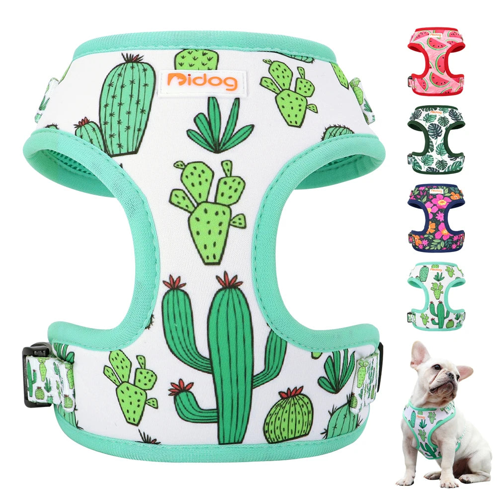 harnais pour petit chien fabriqué en nylon résistant