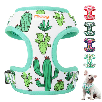 harnais pour petit chien fabriqué en nylon résistant