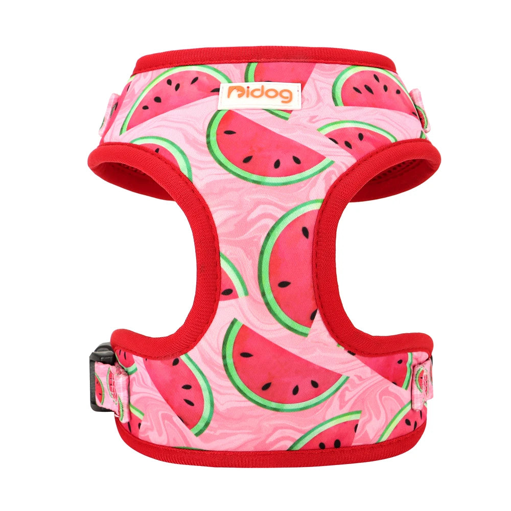 harnais pour petit coloré avec des formes de pastèques en nylon