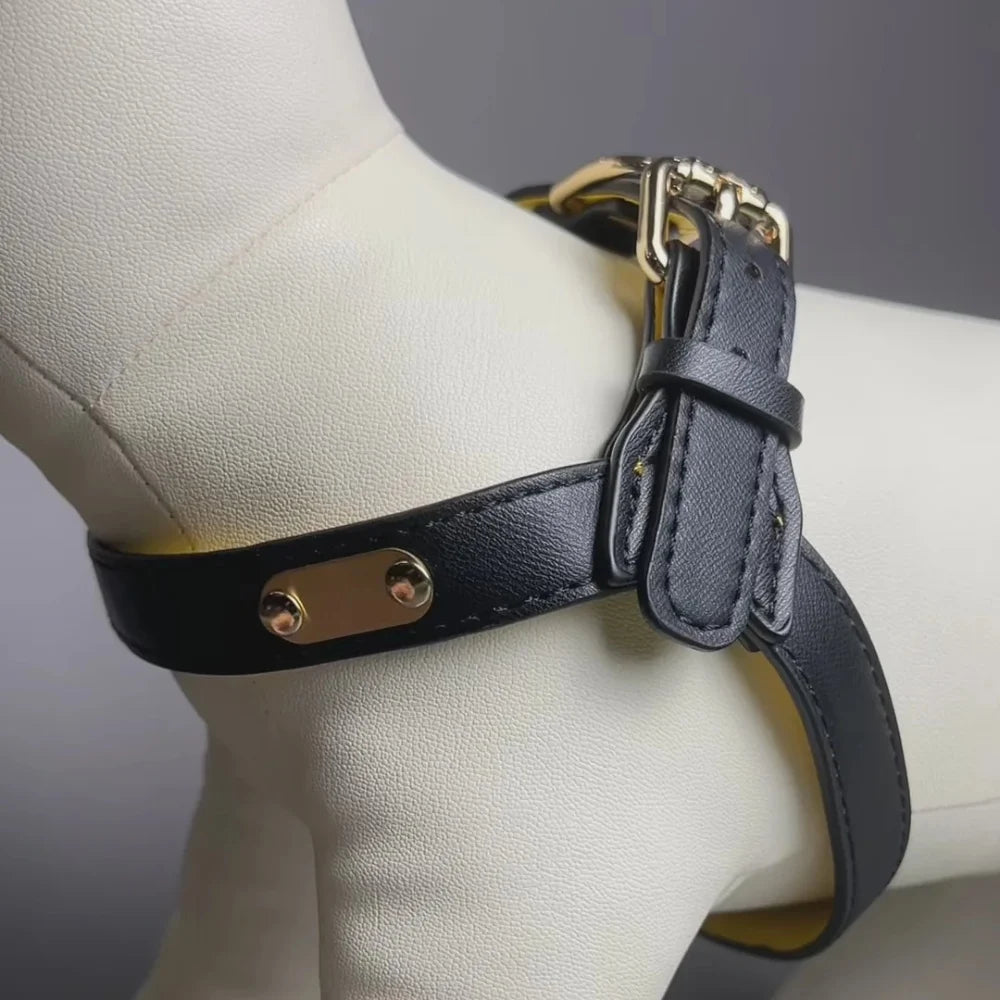 Harnais en cuir pour chien sur un mannequin chien de boutiquechien Image