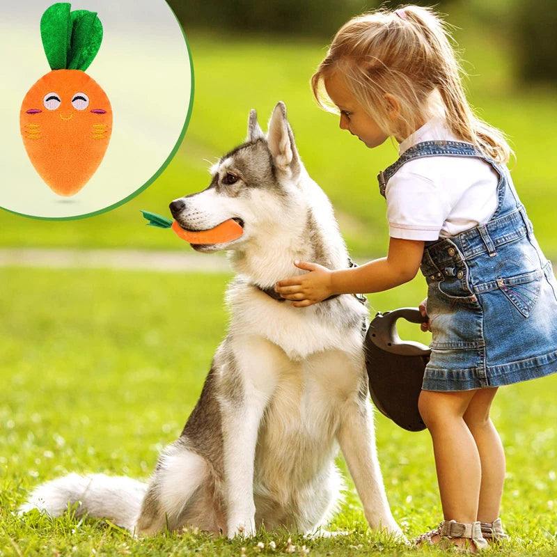 Husky blanc et gris jouant avec sa peluche carotte orange. Une petite fille joue avec son chien. Image produit Boutiquechien 