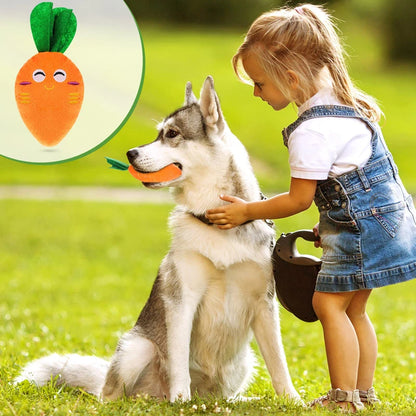 Husky blanc et gris jouant avec sa peluche carotte orange. Une petite fille joue avec son chien. Image produit Boutiquechien 