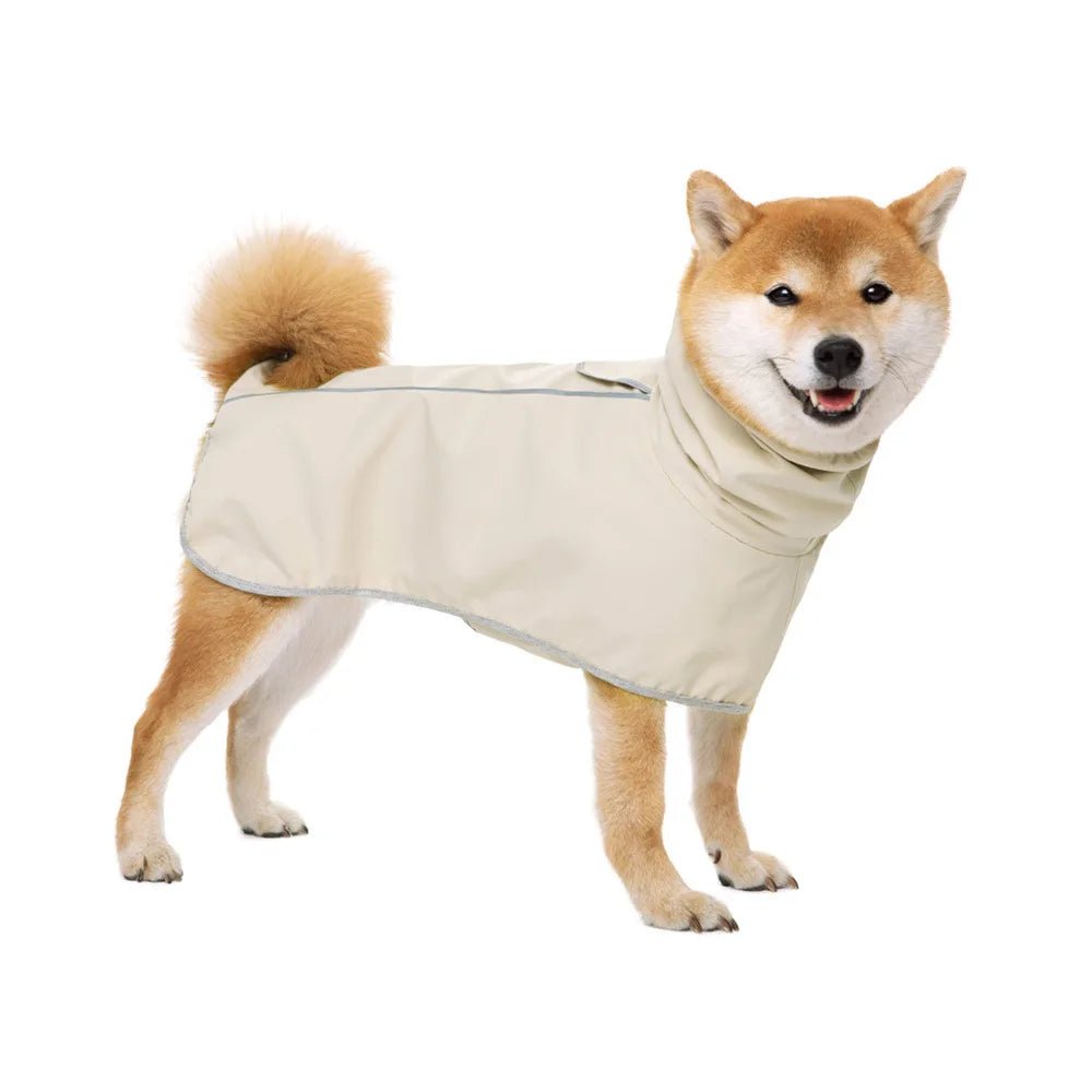 Shiba de couleur claire portant un imper pour chien de couleur gris. Image produit Boutiquechien 