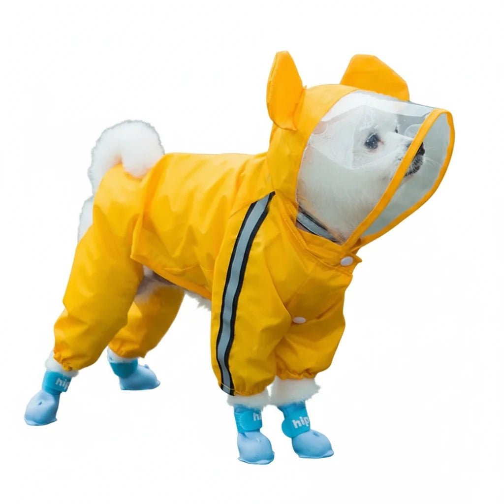 Petit chien de couleur blanc avec un imper orange dans une rue sur des pavés béton. Image produit Boutiquechien
