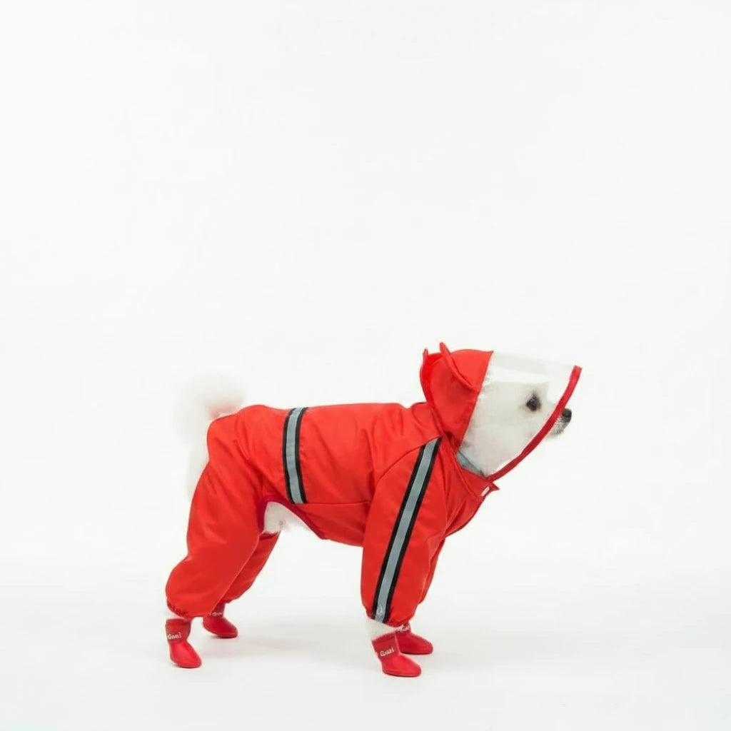 Petit chien blanc avec un imper rouge pour chien dans la rue. Image produit Boutiquechien