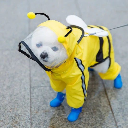 Imperméable de couleur jaune et noir en forme d'abeille dans une rue. Image produit Boutiquechien