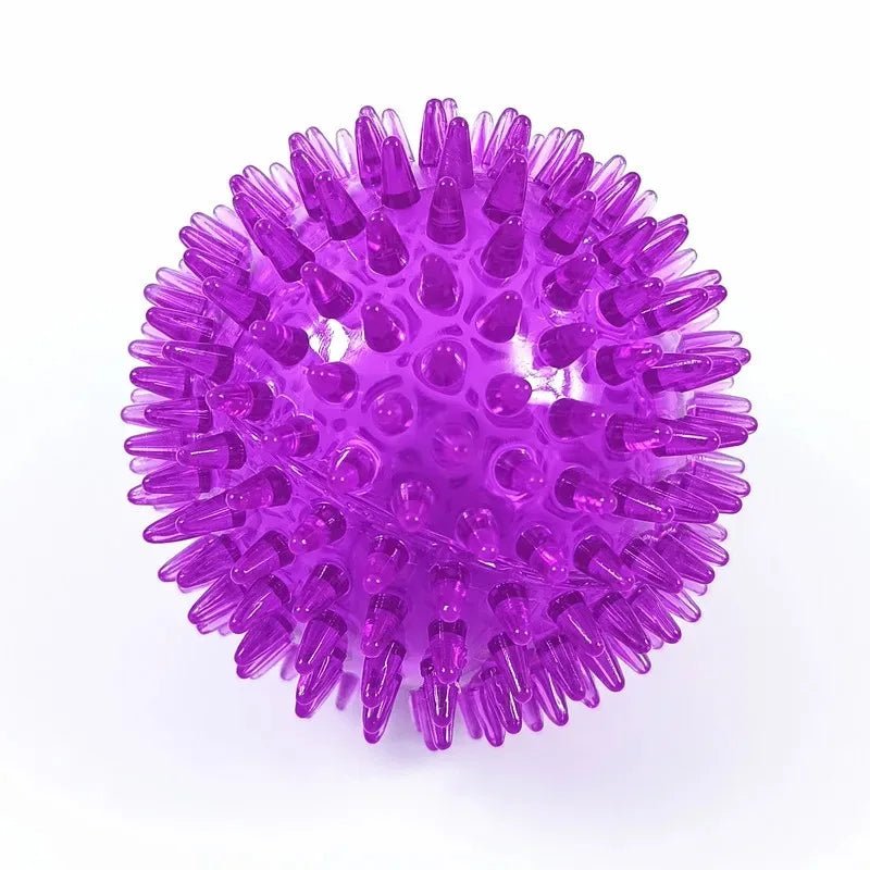 Jouet chiot dent violet