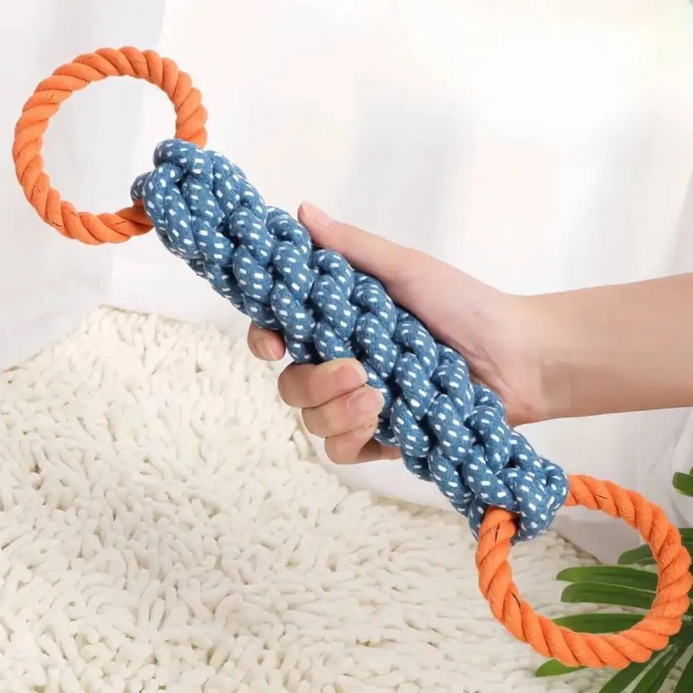 Jouet en corde pour chien de couleur bleu et orange tenu dans une main Image