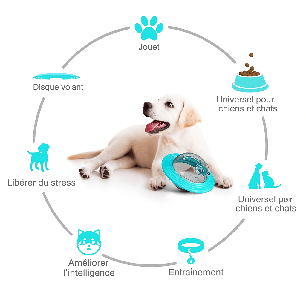 Totalité des avantage du disque à friandise pour chien de boutiquechien