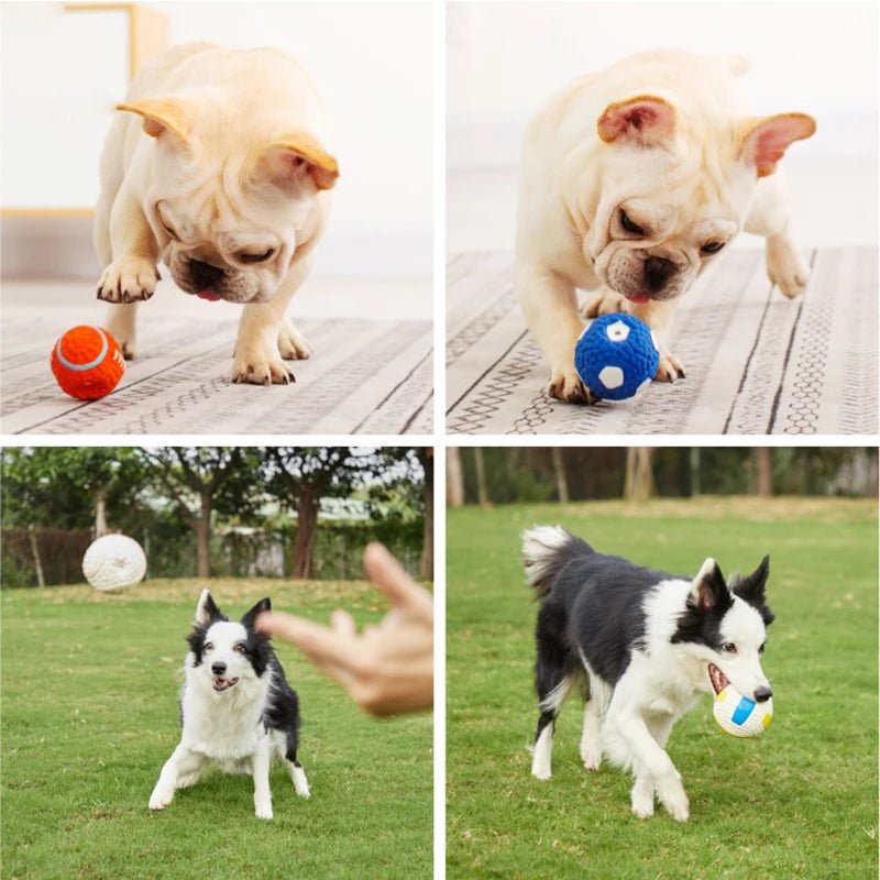 Jouet pouet pouet pour chien avec chiens 