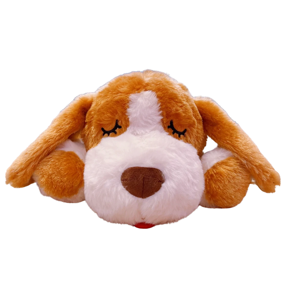 Jouet pour chiot 3 mois