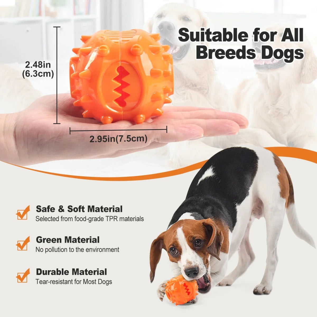 Jouet pour chiot berger australien dimensions 