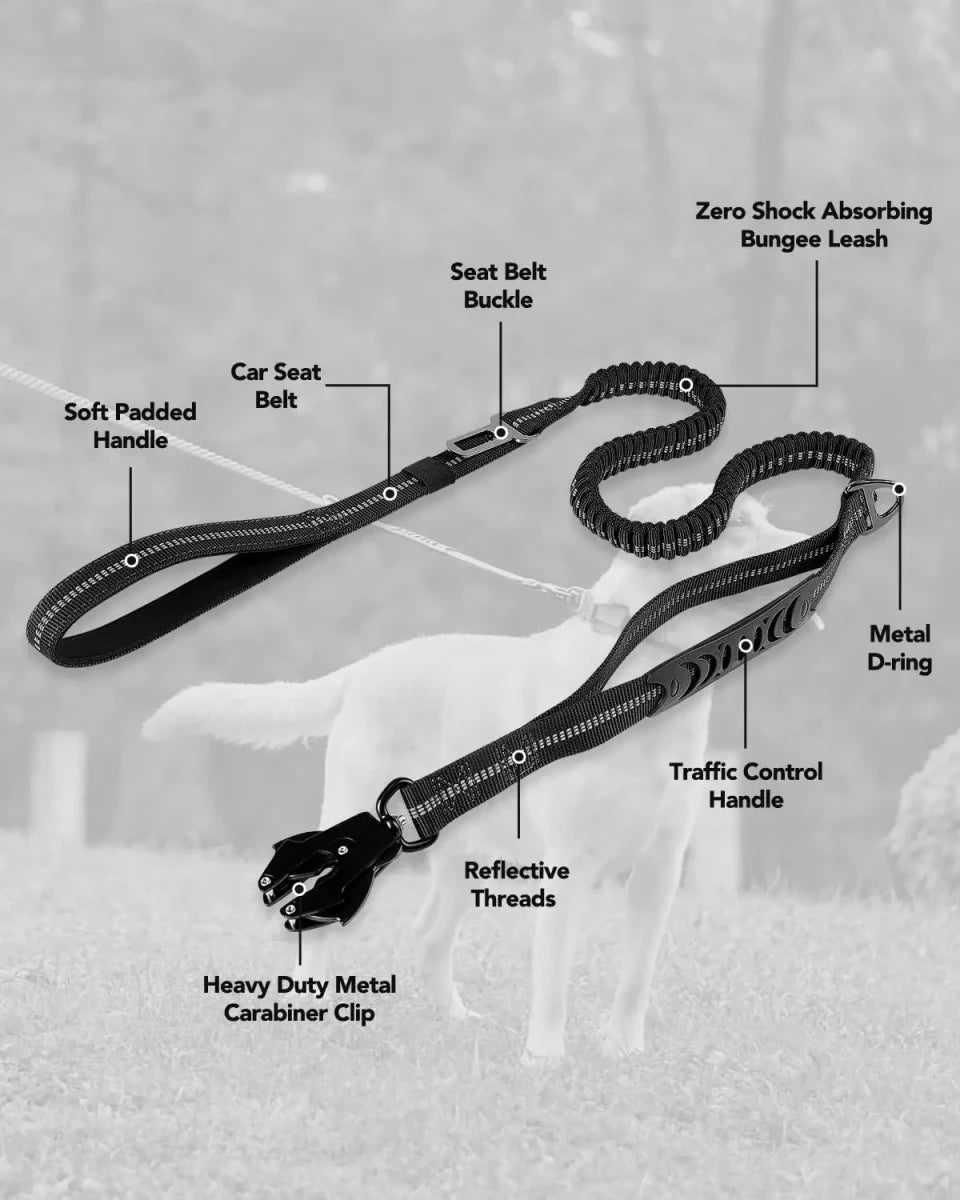 Laisse amortisseur pour gros chien avantages du produit 