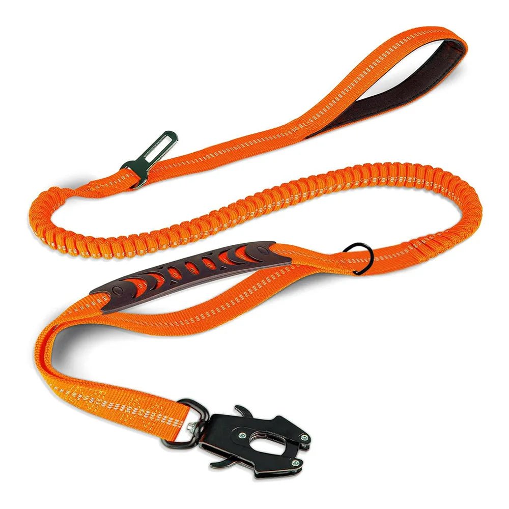 Laisse amortisseur pour gros chien orange