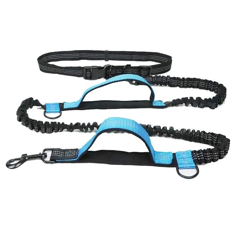 Laisse anti traction pour chien bleu