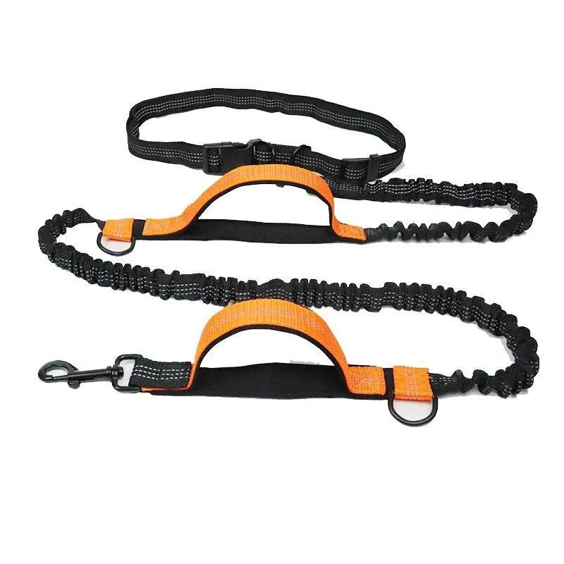 Laisse anti traction pour chien orange 