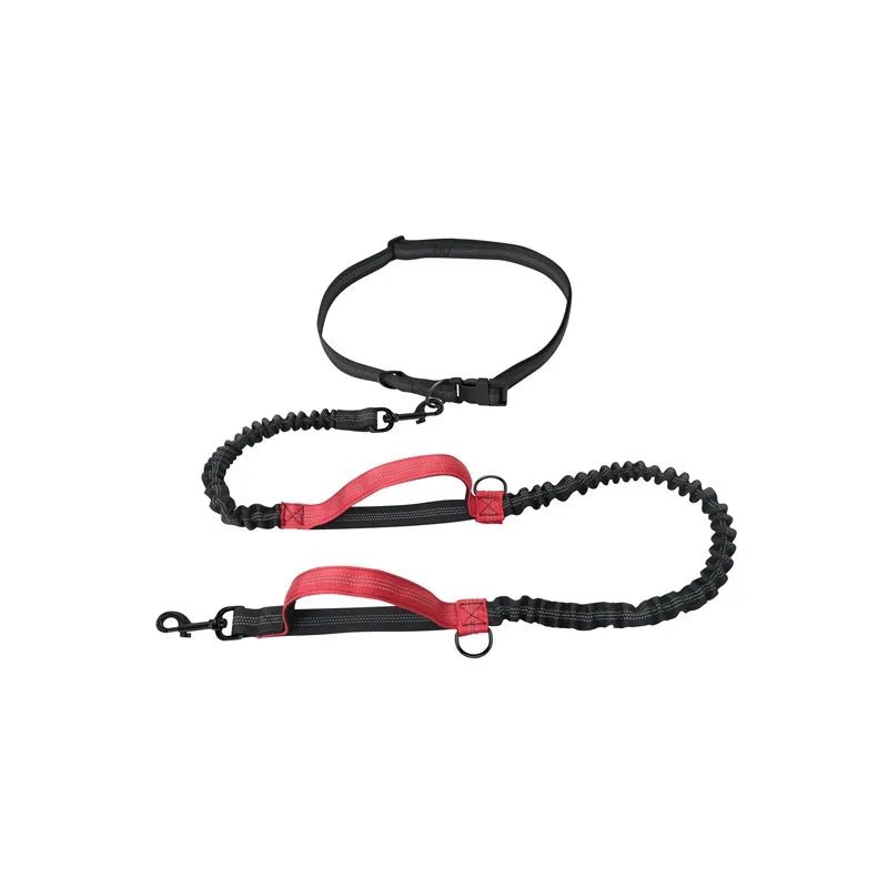 Laisse anti traction pour chien rouge