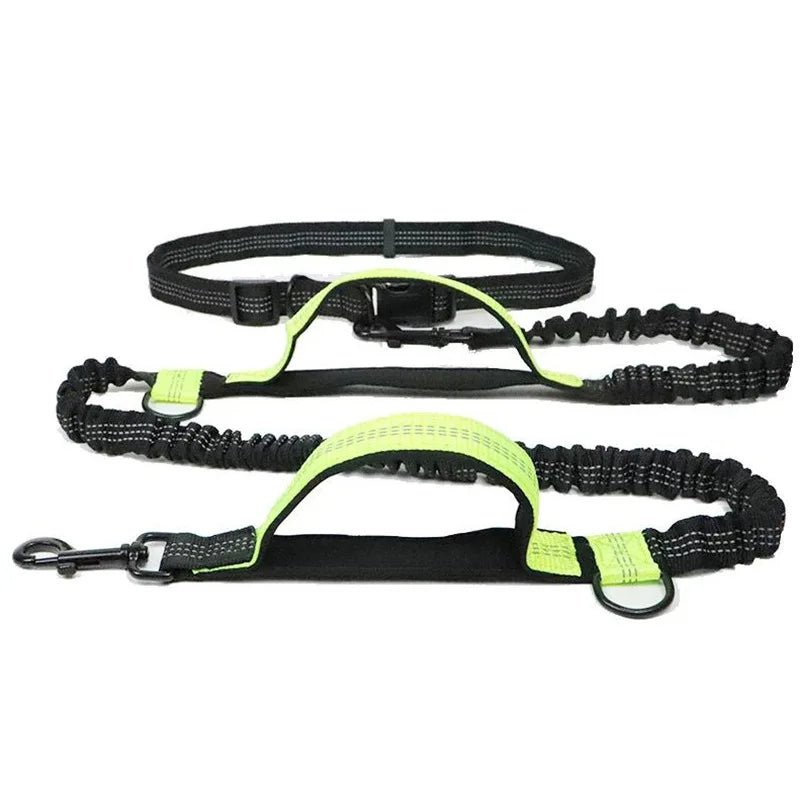 Laisse anti traction pour chien jaune 