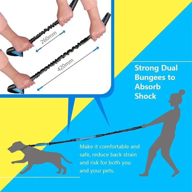 Laisse anti traction pour chien avec moyen d'absorption 