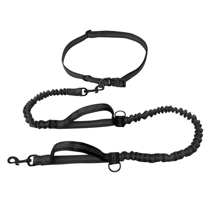 Laisse anti traction pour chien noir