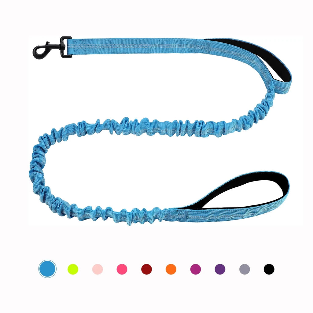 Laisse canicross petit chien bleu
