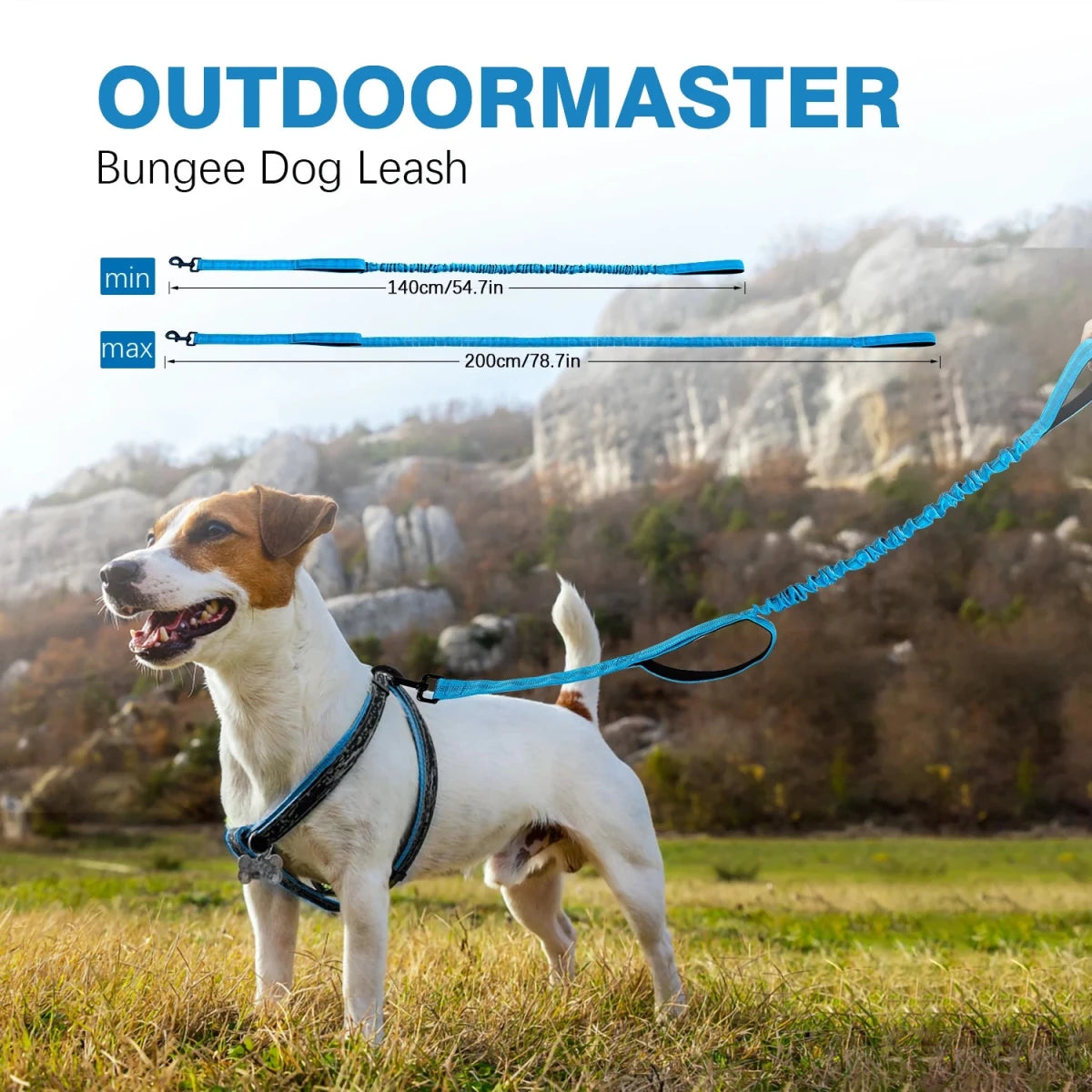 Laisse canicross petit chien dimensiosn du produit 