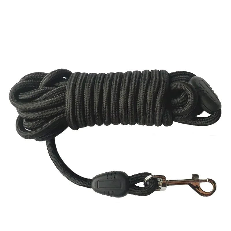 Laisse chien corde 10m
