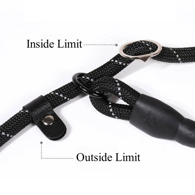 Laisse chien corde 2m fonctionnement