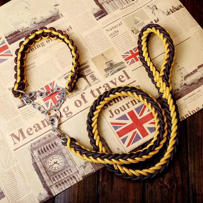 Laisse chien corde tressée de couleur noir et jaune avec en bas un journal anglais 