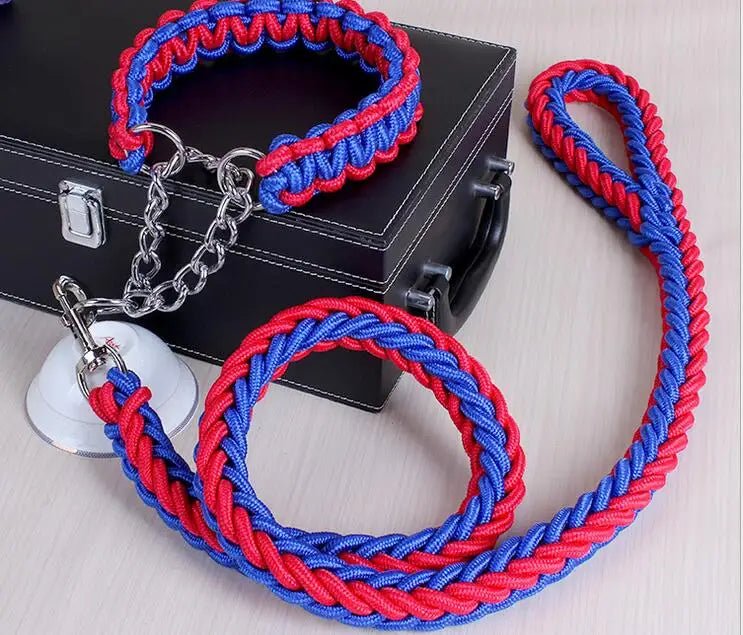 Laisse chien corde tressée de couleur bleu et rouge avec en fond une boite noir sur une table claire