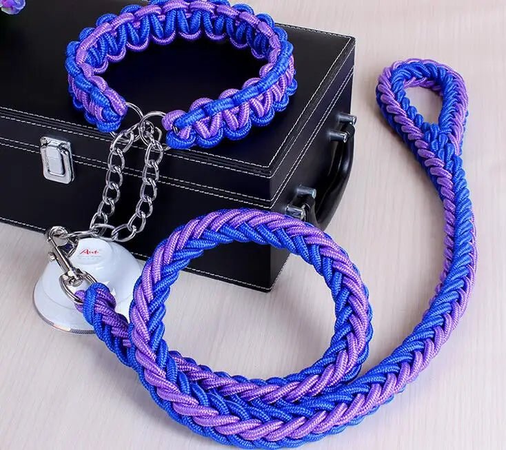 Laisse chien corde tressee  de couleur bleu et violet pose sur une table claire près d'une boite noir