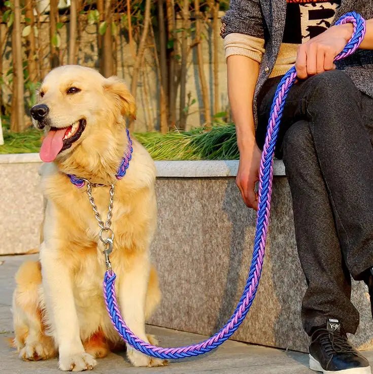 Laisse chien corde tressée de couleur bleu et rose en ville avec un homme assis le tenant.