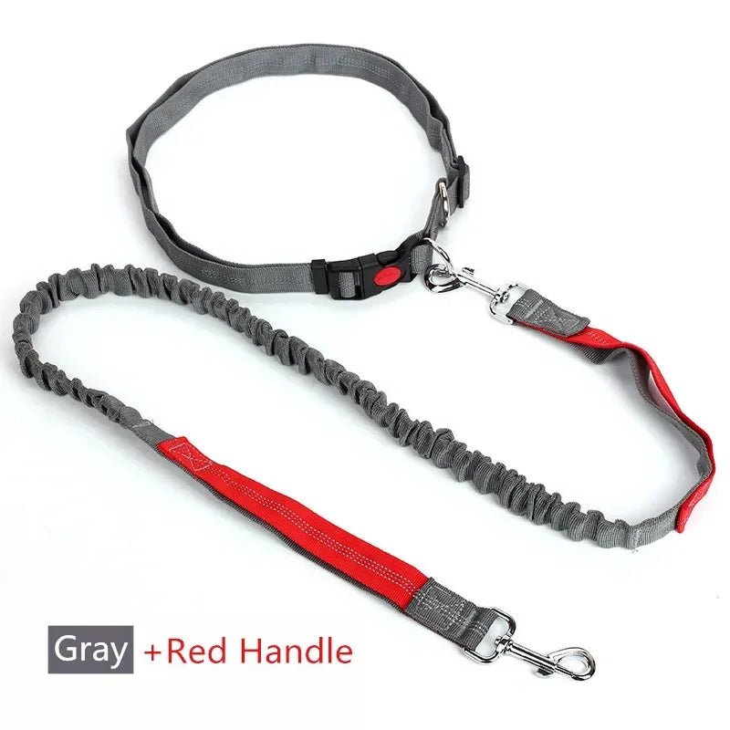 Laisse chien pour jogging rouge