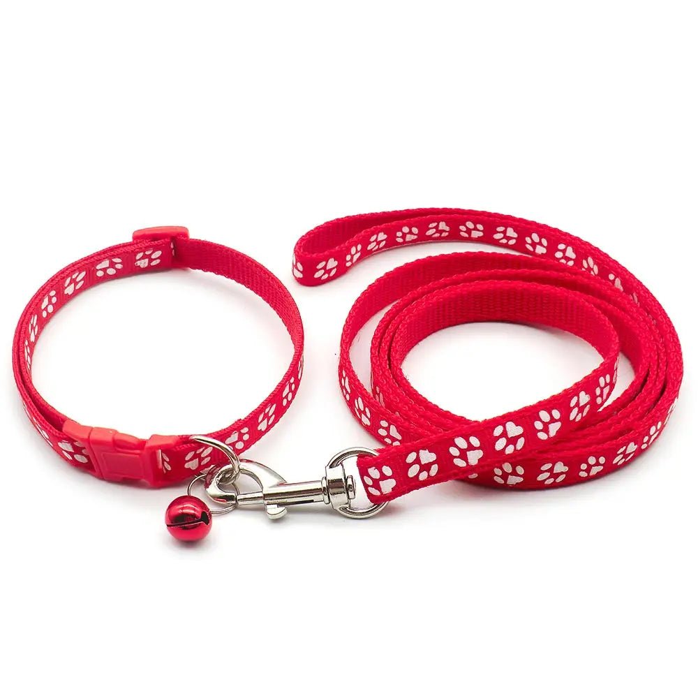 Laisse collier chiot rouge