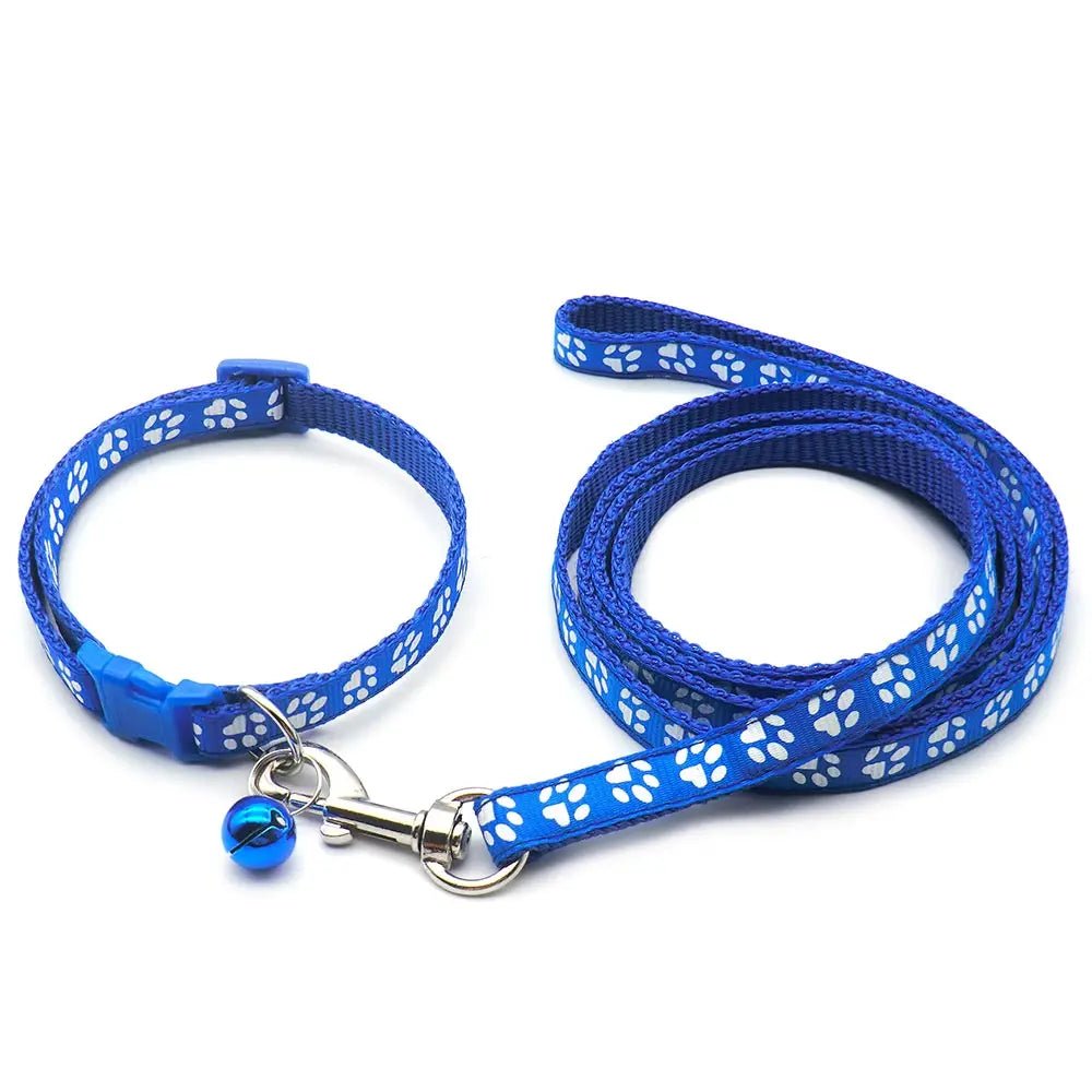 Laisse collier chiot bleu et blanc