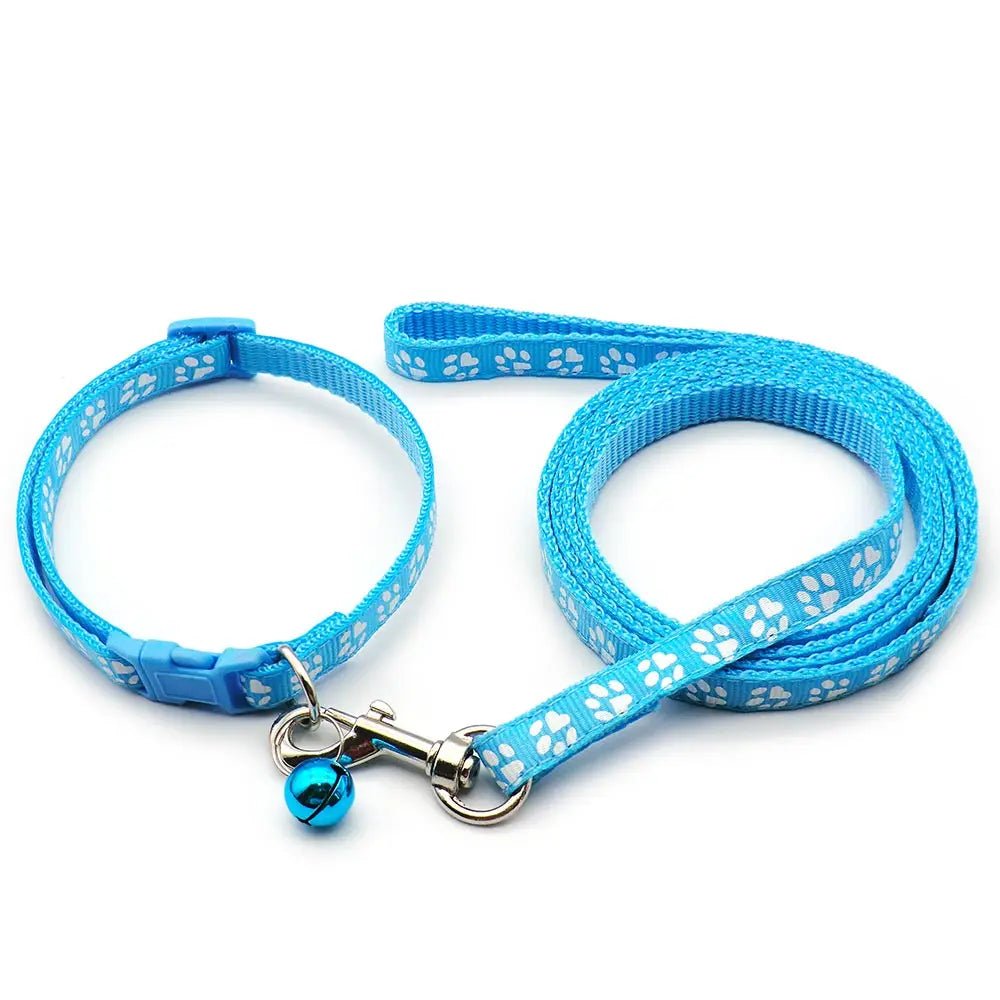 Laisse collier chiot bleu