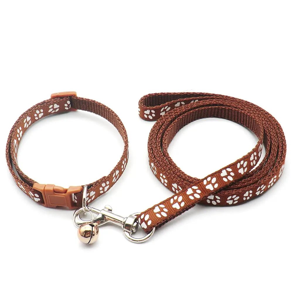 Laisse collier chiot brun