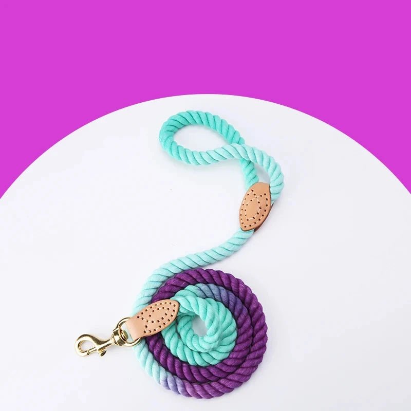 laisse corde multi couleurs pour chien  violet de boutiquechien
